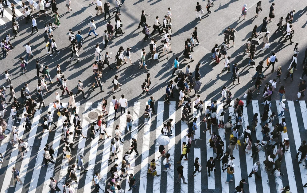 Crowd dynamics safety